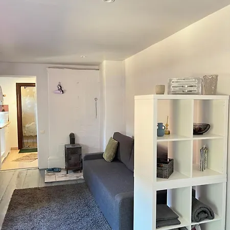 Piebalgas Street In Apartment *
